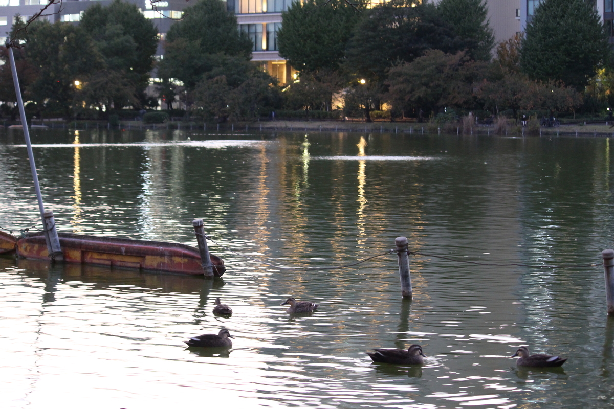f:id:hase2:20201113001844j:plain f:id:hase2:20201113001844j:plain