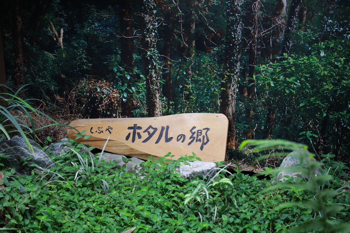 f:id:hase2:20201126021933j:plain