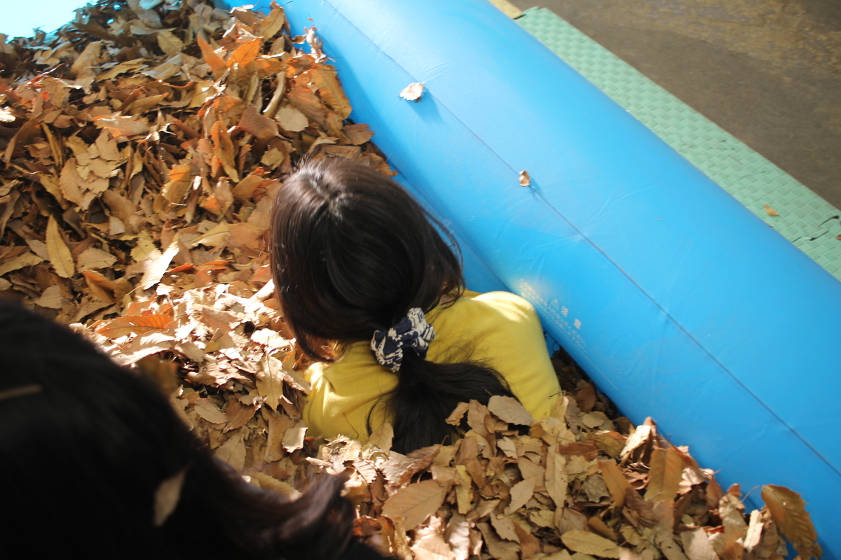 f:id:hase2:20201126022306j:plain