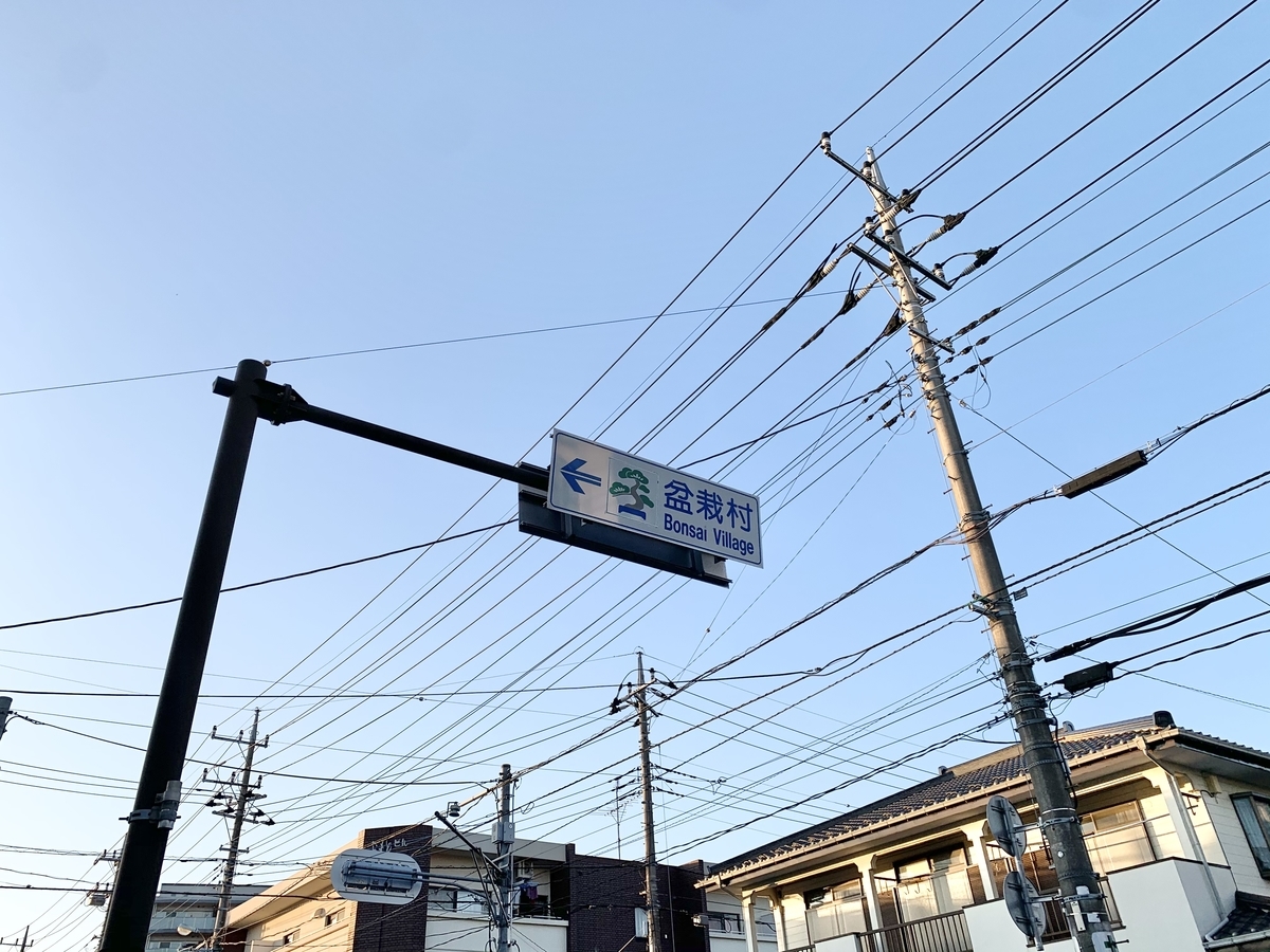 f:id:hase2:20201126050014j:plain
