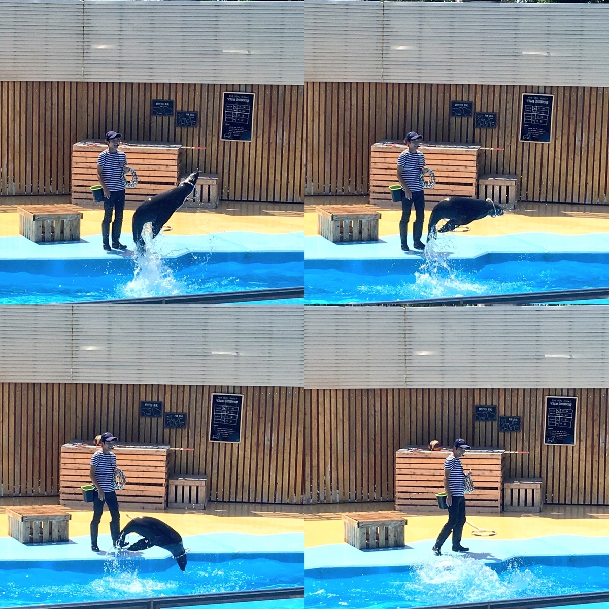 f:id:hase2:20201209014249j:plain