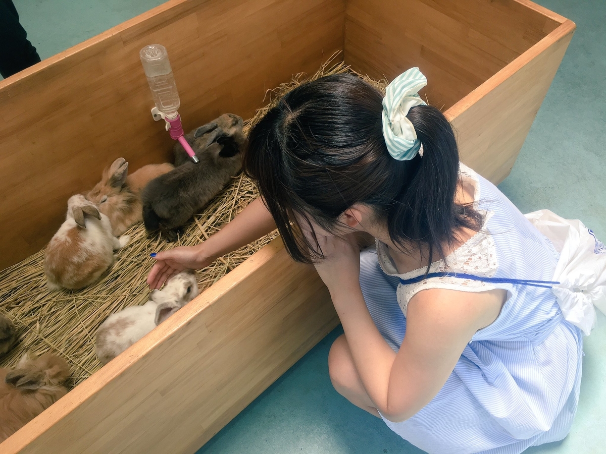 f:id:hase2:20201209015121j:plain
