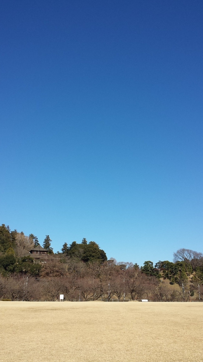 f:id:hase2:20201210215604j:plain