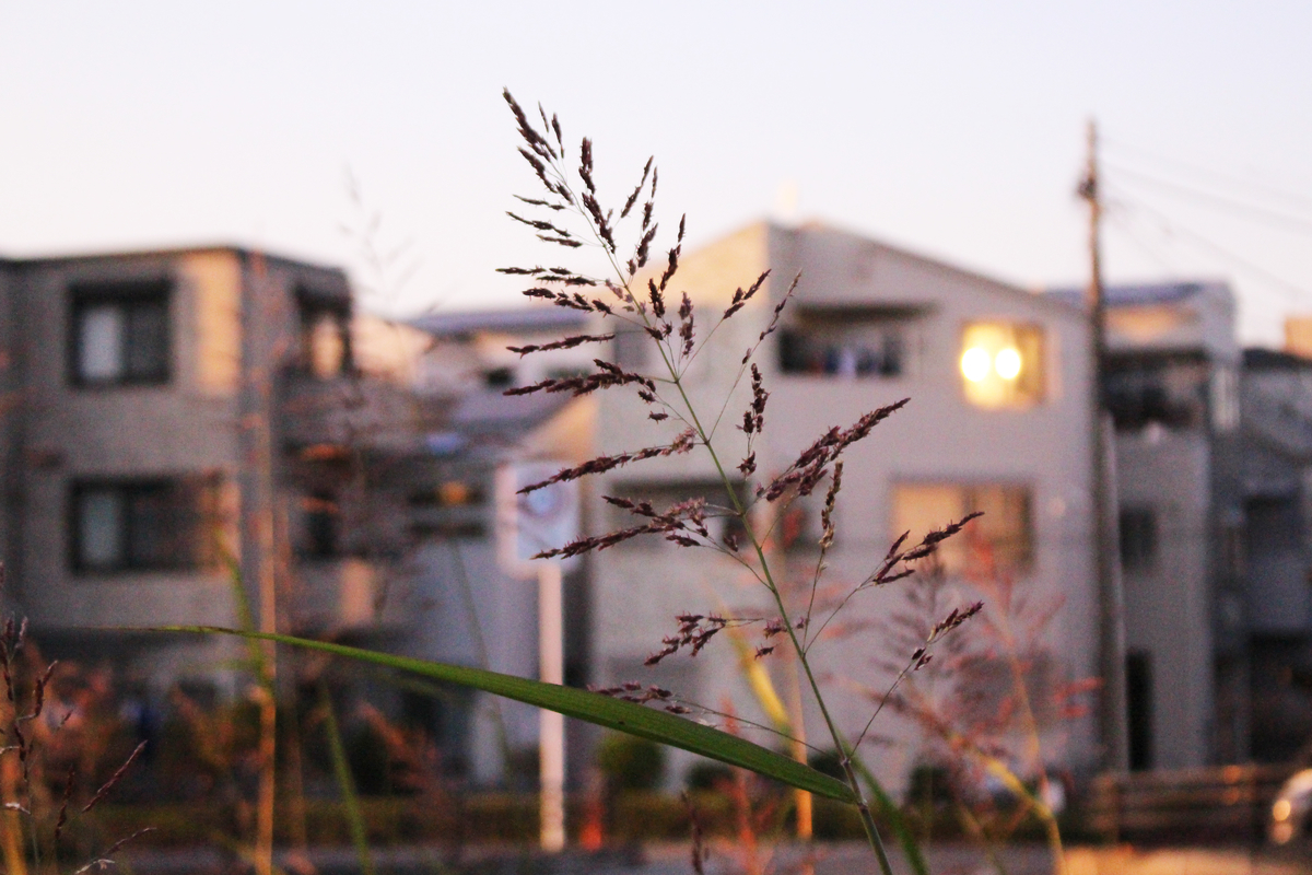 f:id:hase2:20211114003607j:plain