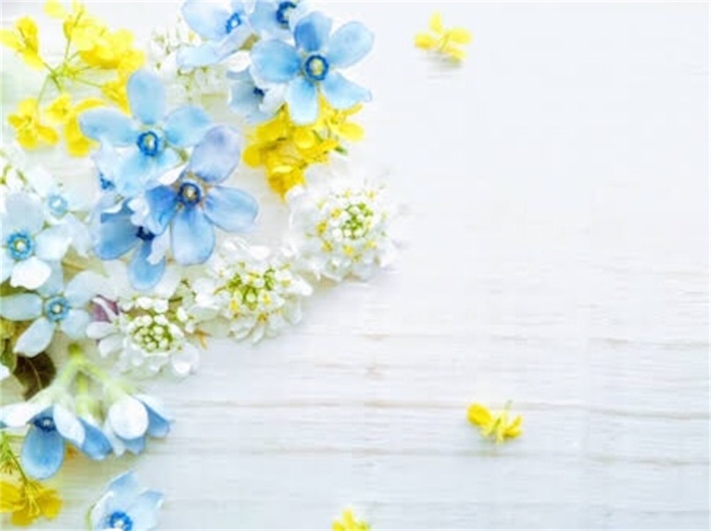 f:id:hasechii0730:20200903130137j:image
