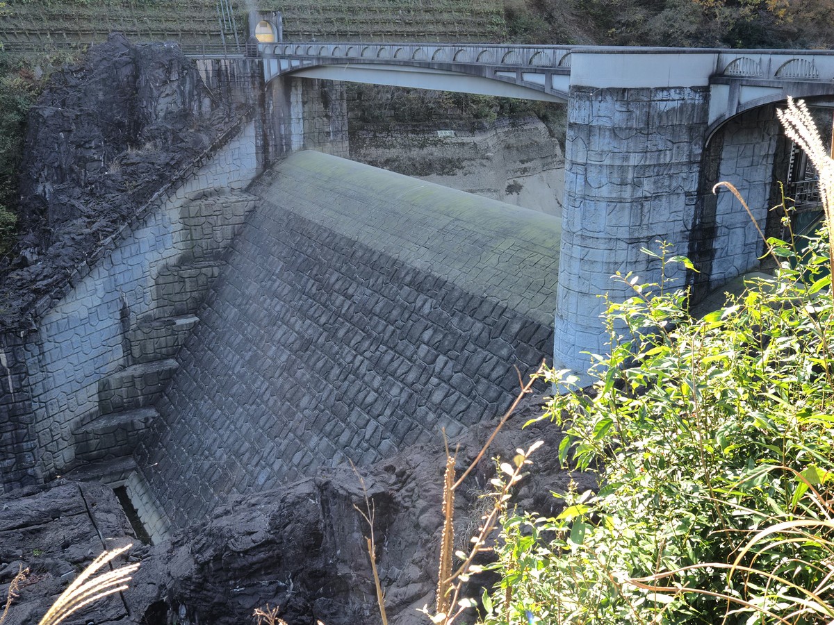 f:id:hasechuwan:20201208232604j:plain