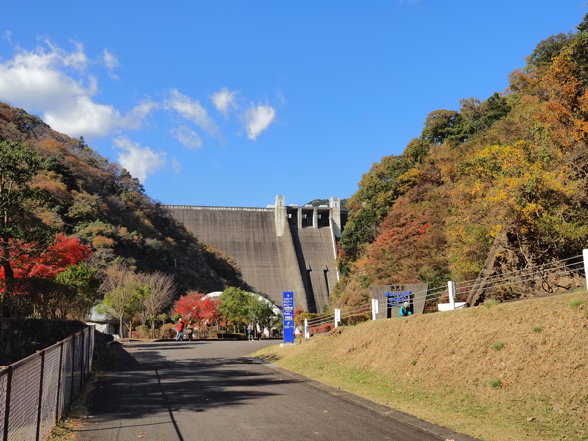 f:id:hasechuwan:20201208233553j:plain