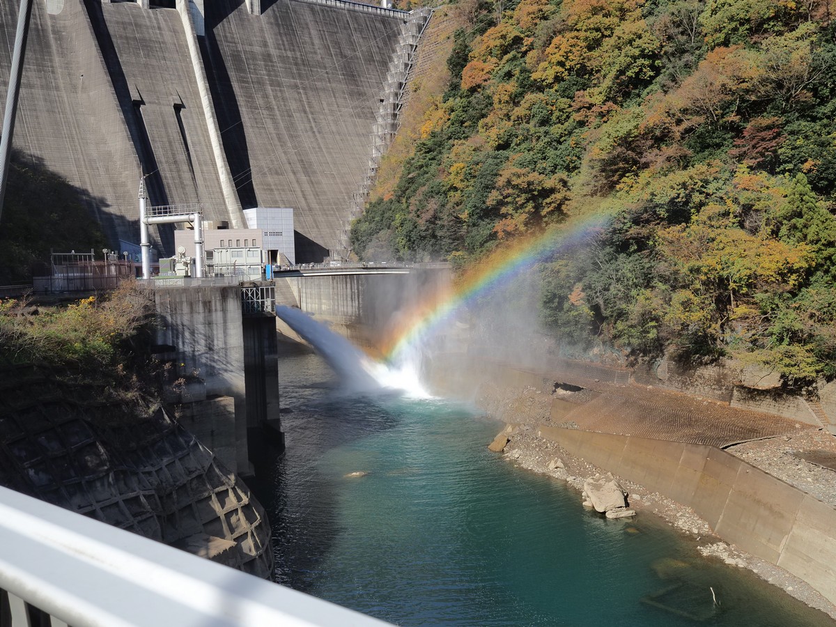 f:id:hasechuwan:20201208233946j:plain