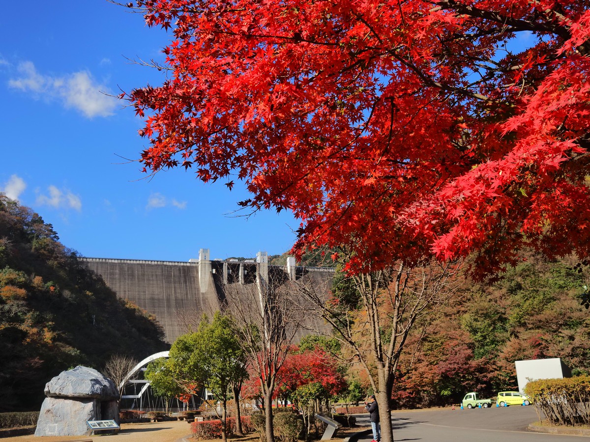 f:id:hasechuwan:20201208235520j:plain