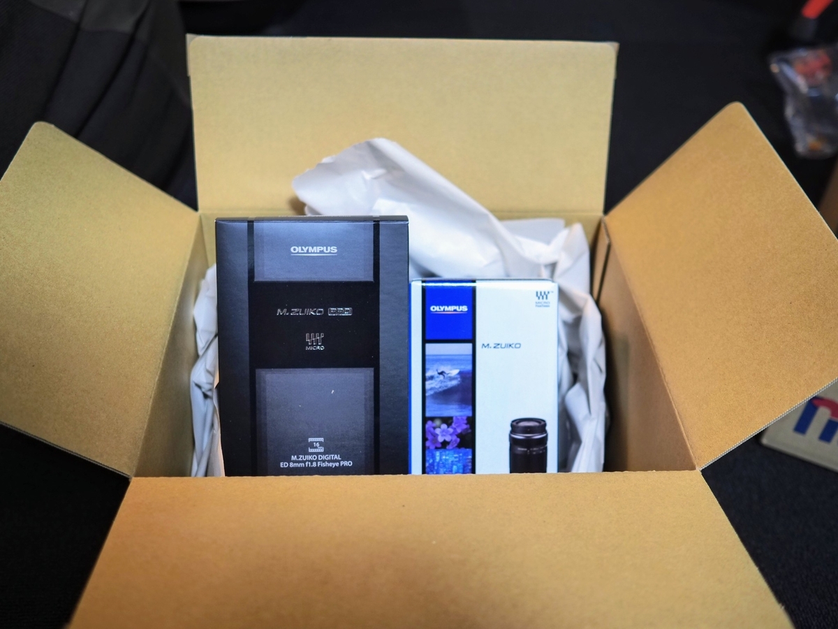 f:id:hasechuwan:20201227205412j:plain