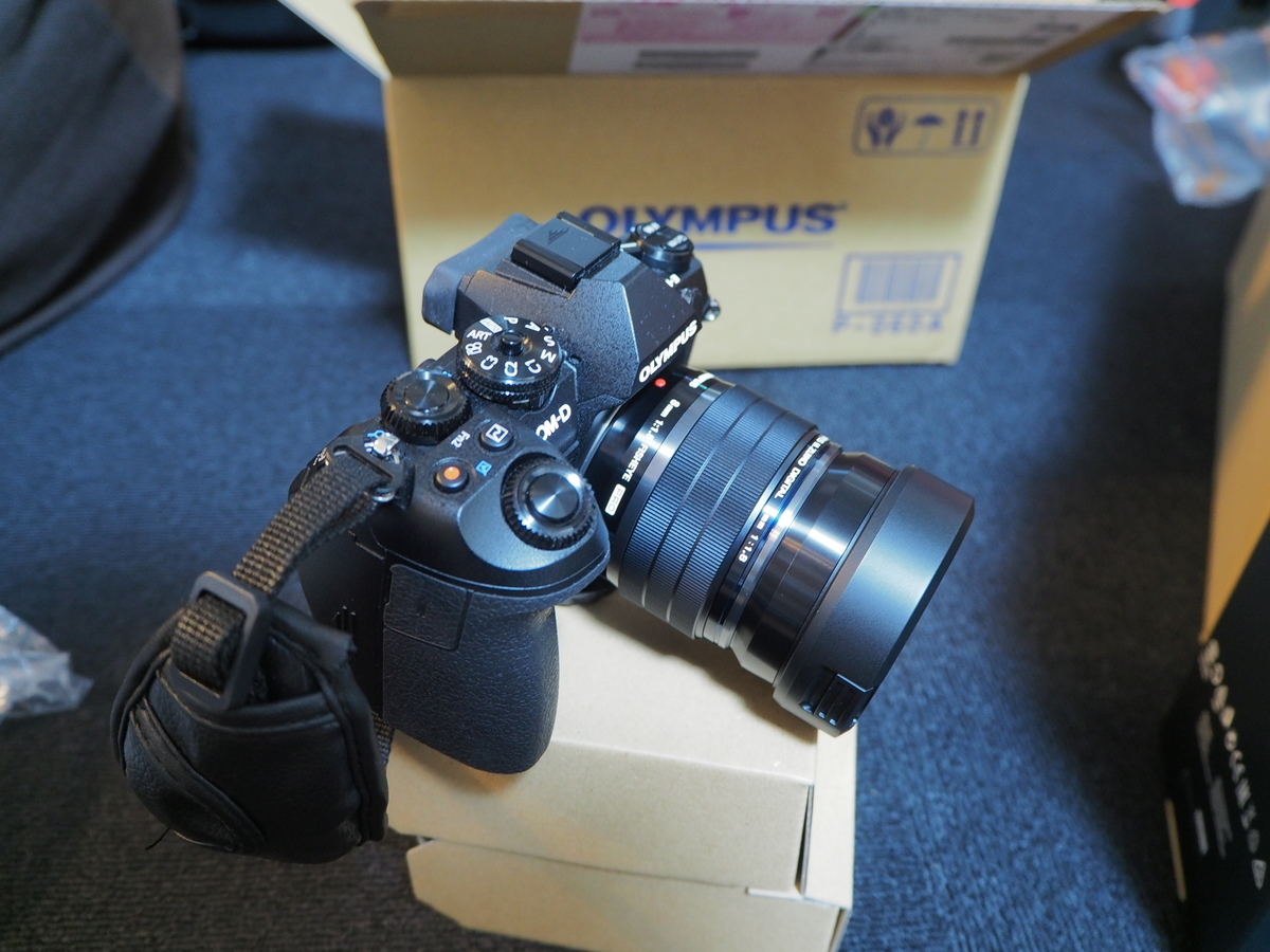 f:id:hasechuwan:20201227205509j:plain