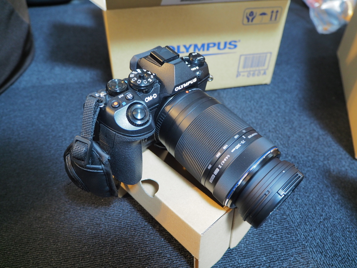 f:id:hasechuwan:20201227205528j:plain