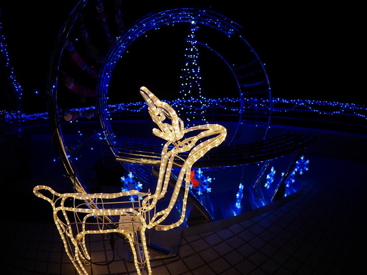 f:id:hasechuwan:20201227205804j:plain