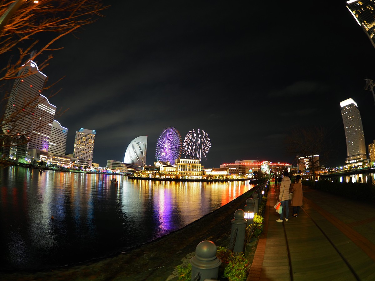 f:id:hasechuwan:20210103233621j:plain