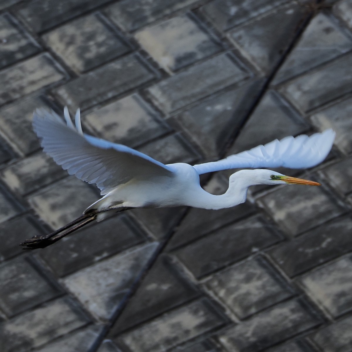 f:id:hasechuwan:20210214230845j:plain