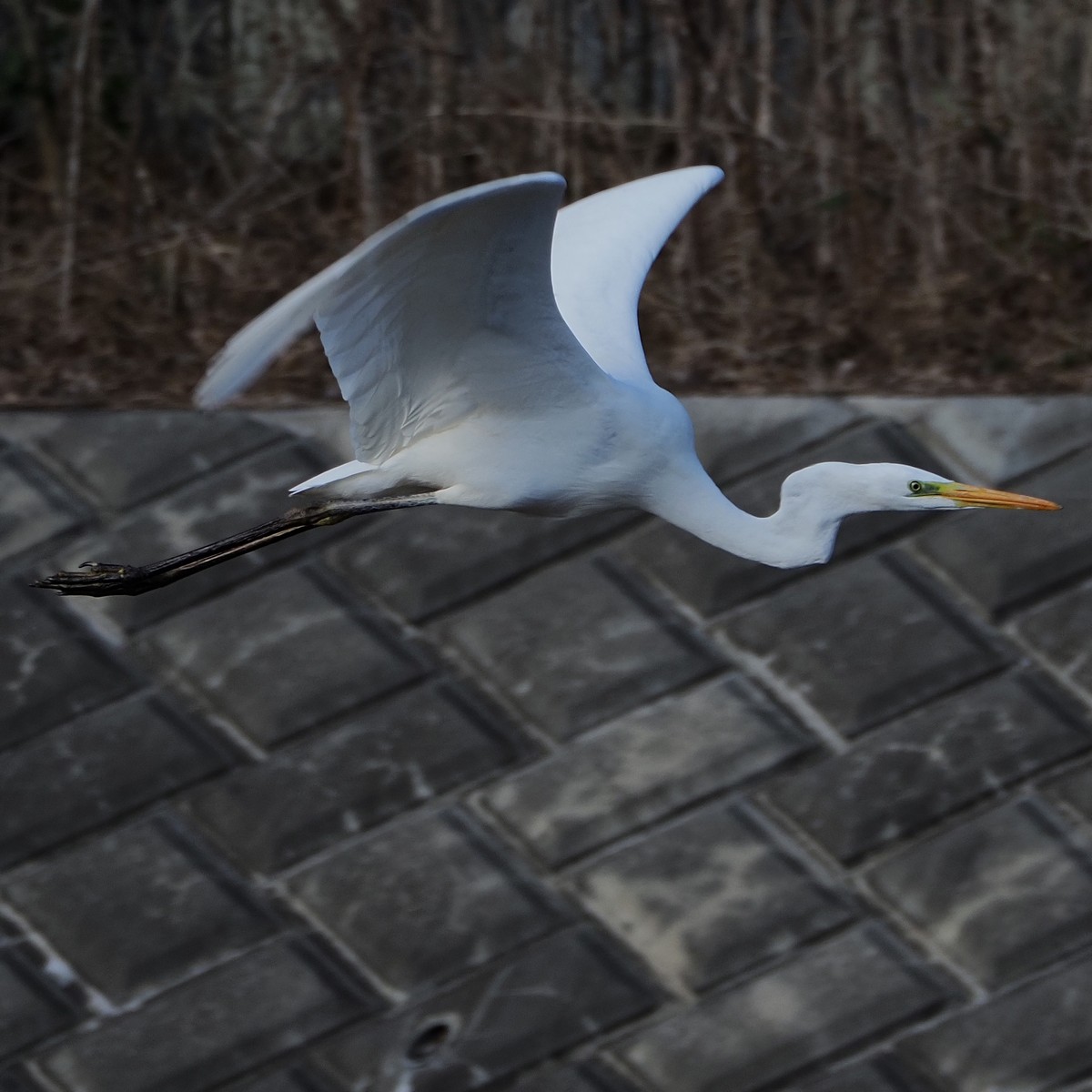 f:id:hasechuwan:20210214230859j:plain