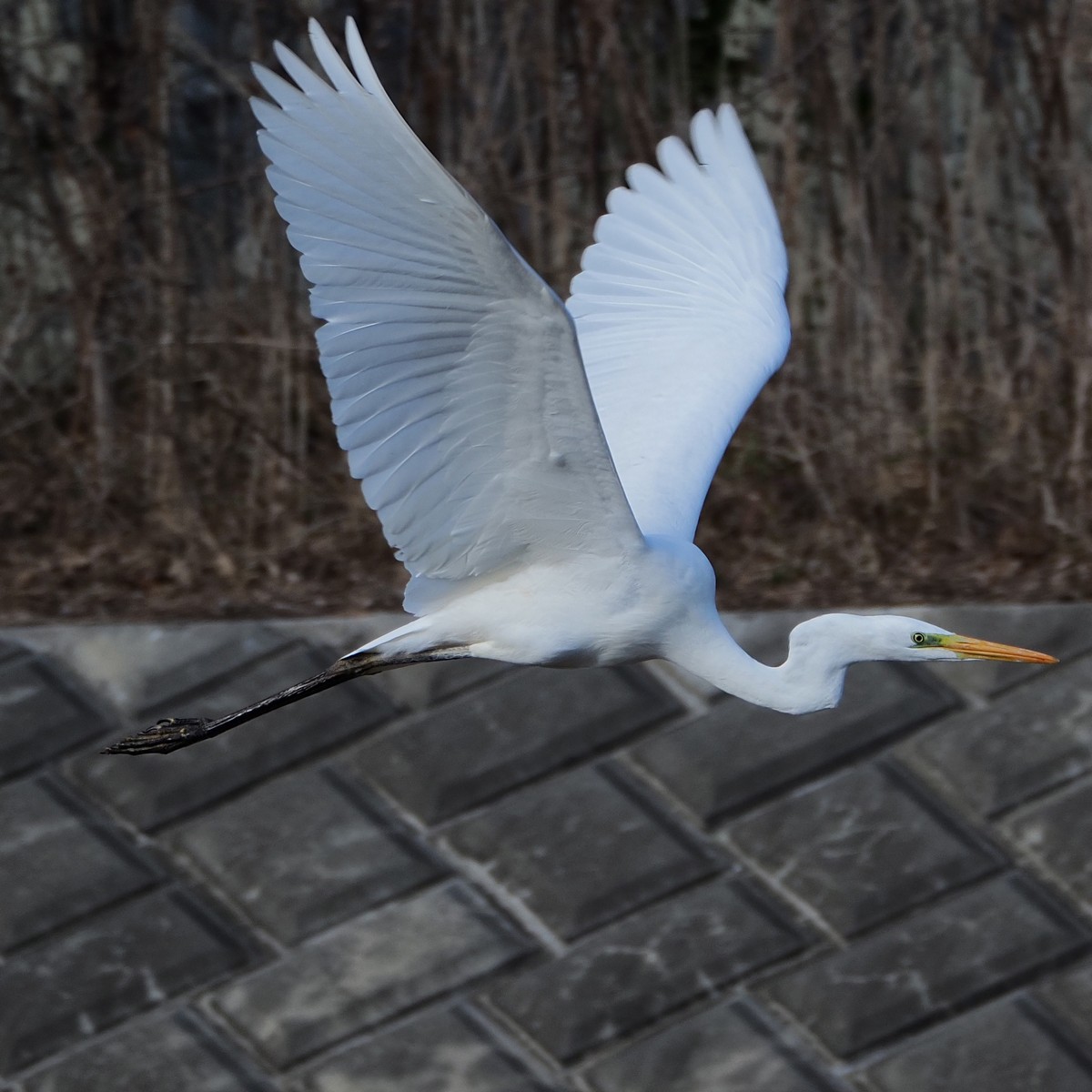 f:id:hasechuwan:20210214230904j:plain