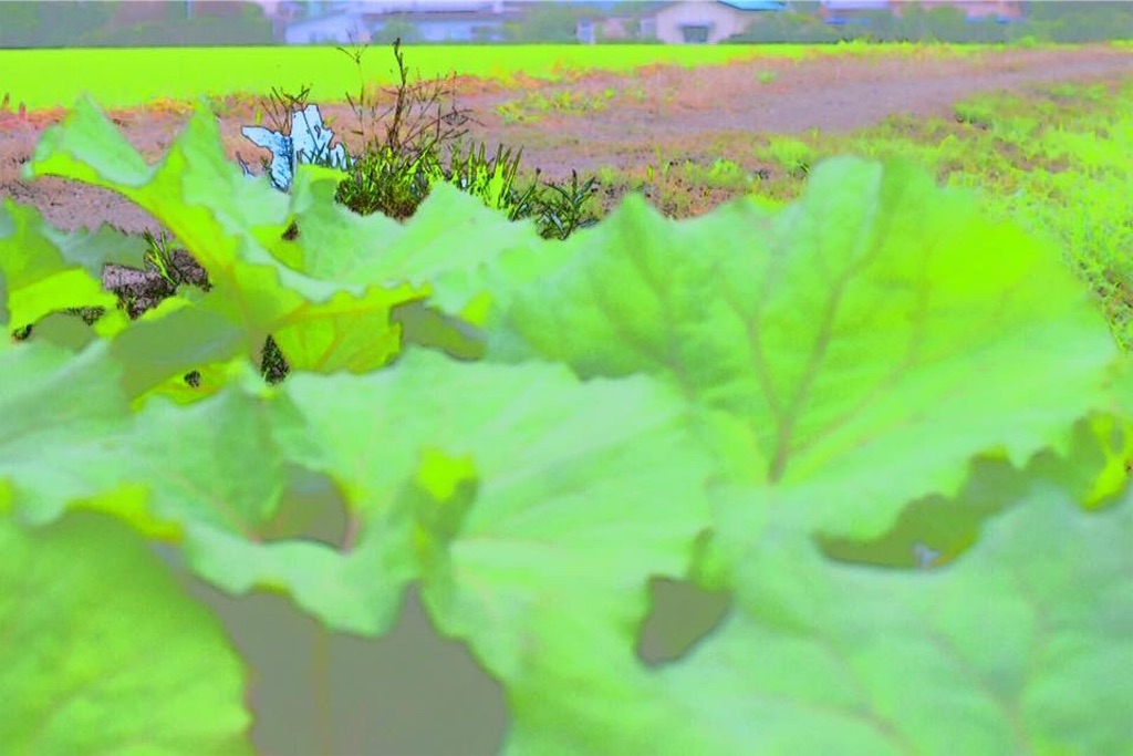 f:id:hasegawa3625kenji:20171213104840j:image
