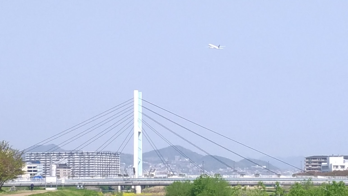 f:id:hasegoro:20190719193404j:plain f:id:hasegoro:20190719193404j:plain