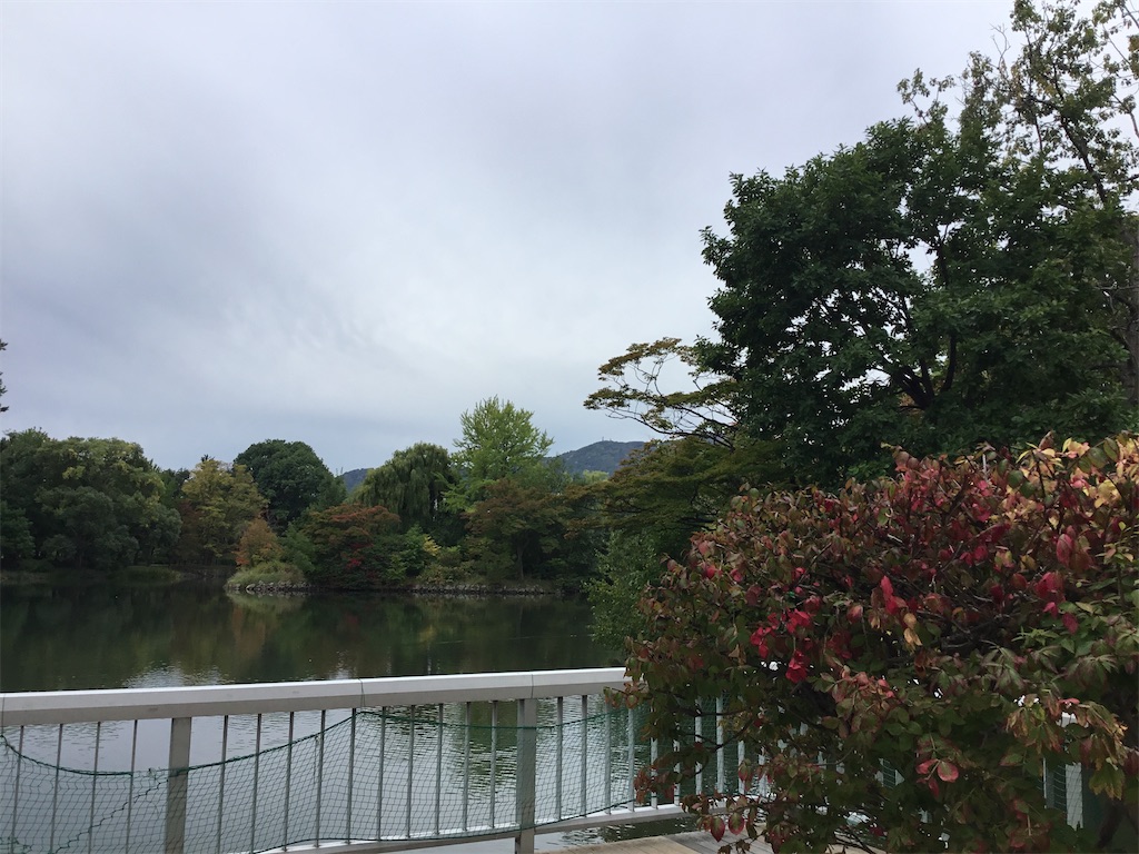 f:id:hasehome1192246:20201005105103j:image