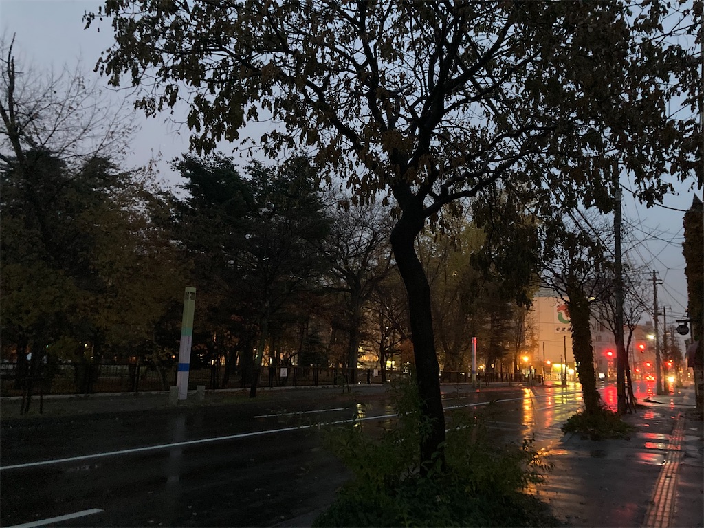 f:id:hasehome1192246:20201119083216j:image