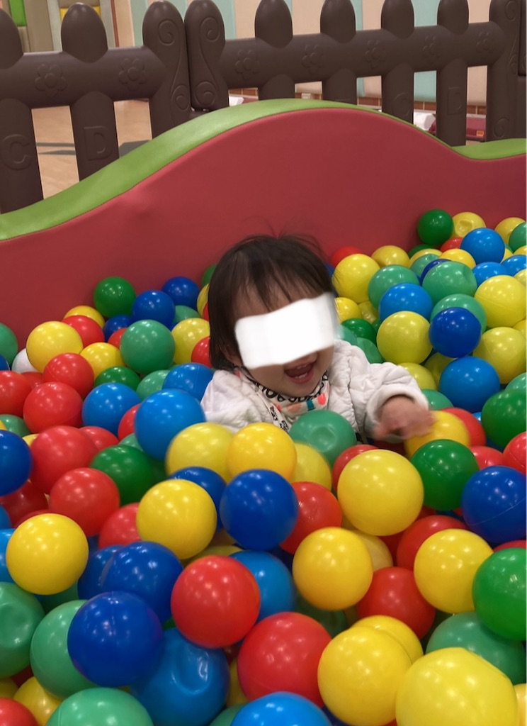 f:id:hasehome1192246:20241111211310j:image