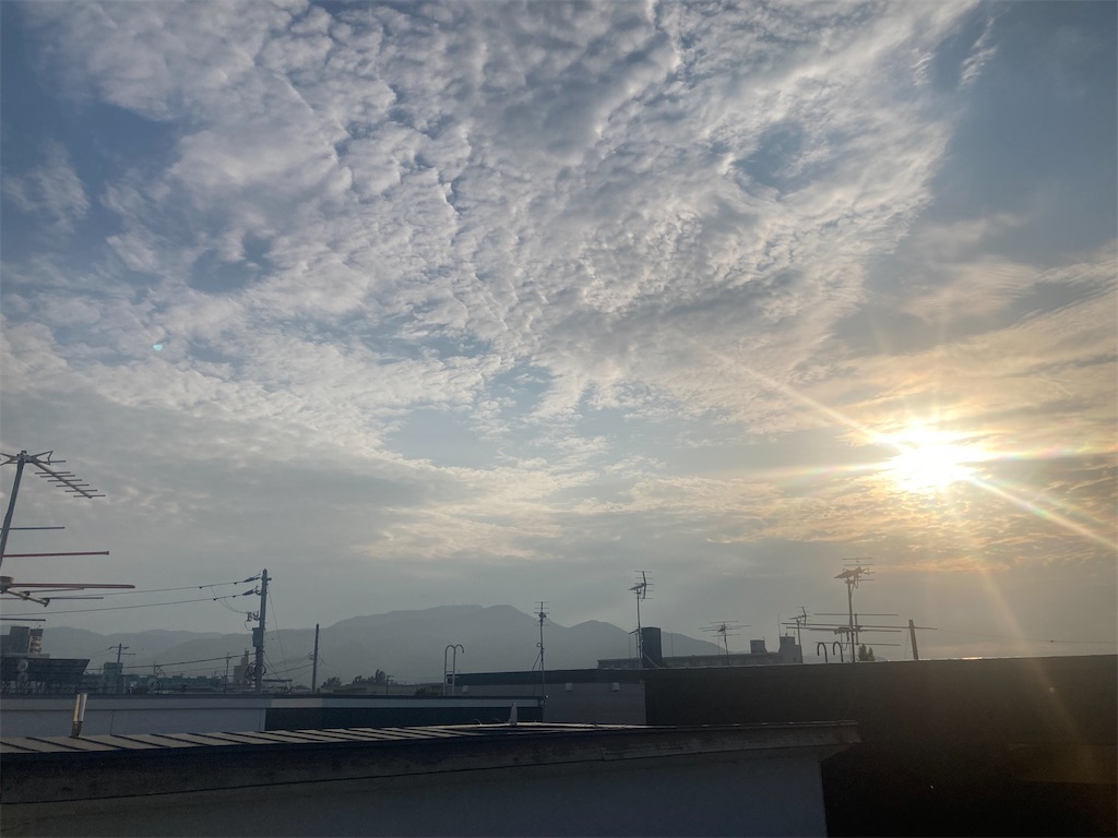 f:id:hasehome1192246:20250606124909j:image