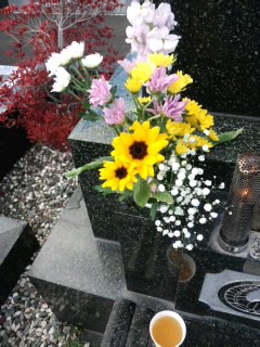 f:id:hasemama30924054:20121018233412j:image f:id:hasemama30924054:20121018233412j:image