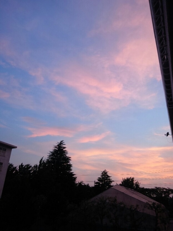 f:id:hasemama30924054:20180723011428j:image:w360
