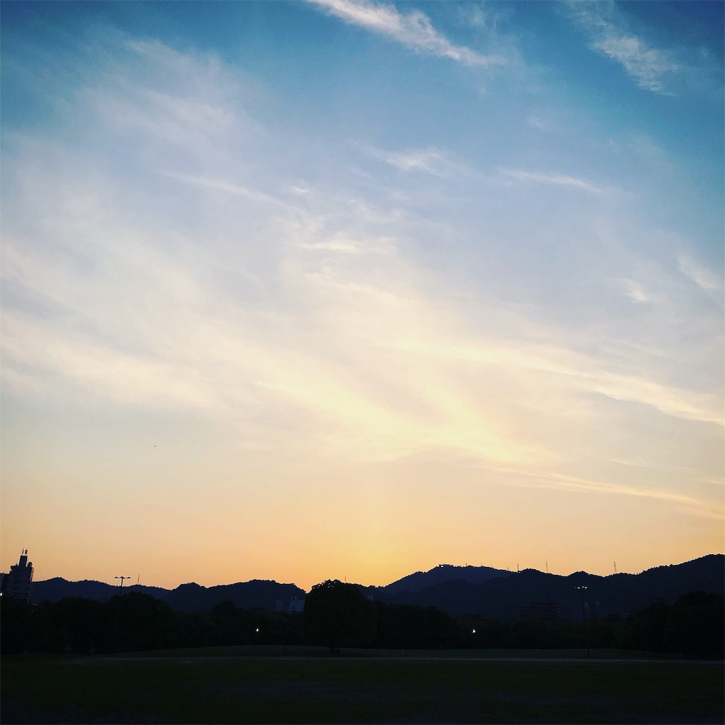 f:id:hasheem32:20190605225440j:image