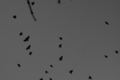 20111204163014