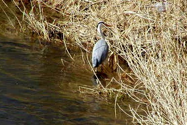 f:id:hashiba511:20060310143721j:image