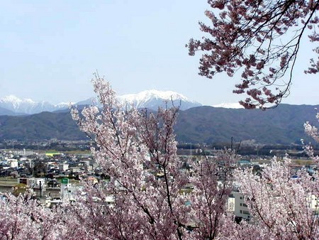 f:id:hashiba511:20060418044856j:image