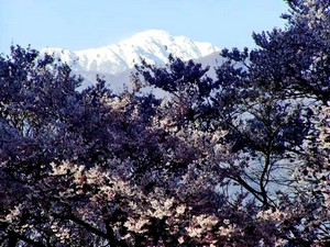 f:id:hashiba511:20060418045843j:image