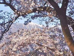 f:id:hashiba511:20060418045916j:image