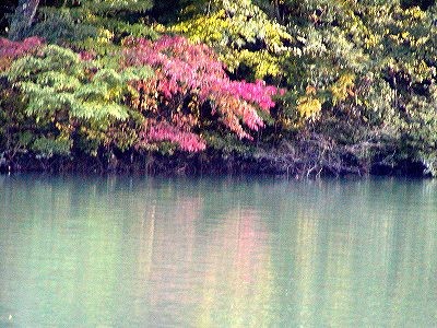 f:id:hashiba511:20061015072518j:image