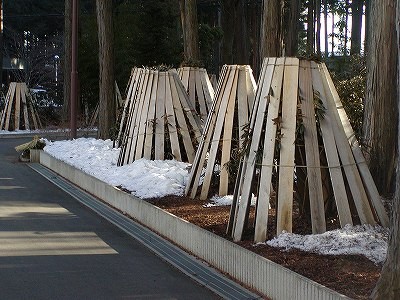 f:id:hashiba511:20070227053641j:image