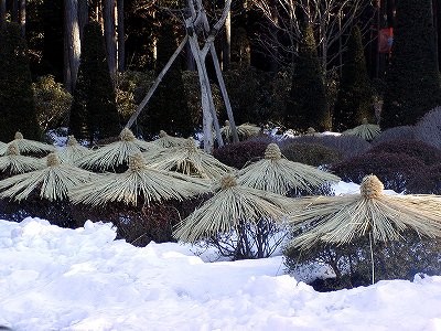 f:id:hashiba511:20070227053727j:image