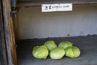 f:id:hashiba511:20070228071403j:image