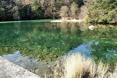 f:id:hashiba511:20070321172507j:image f:id:hashiba511:20070321172507j:image
