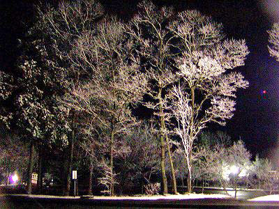 f:id:hashiba511:20070404210355j:image
