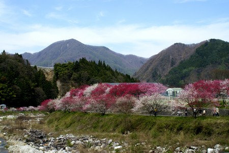 f:id:hashiba511:20070504050219j:image