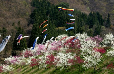 f:id:hashiba511:20070504050406j:image
