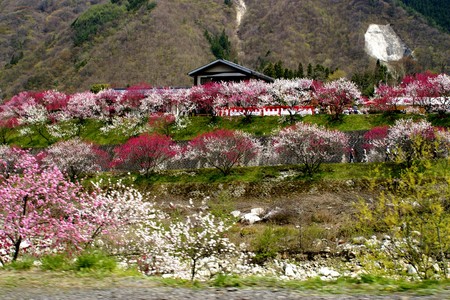 f:id:hashiba511:20070504050611j:image