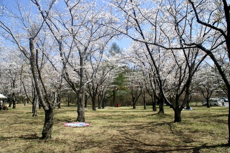 f:id:hashiba511:20070509073251j:image