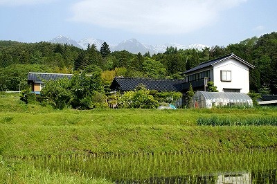 f:id:hashiba511:20070529023544j:image