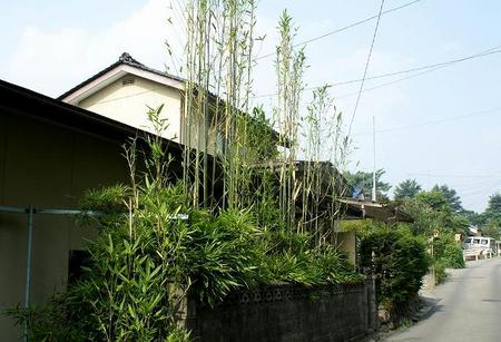 f:id:hashiba511:20070809074009j:image