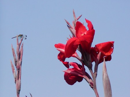 f:id:hashiba511:20071212084524j:image