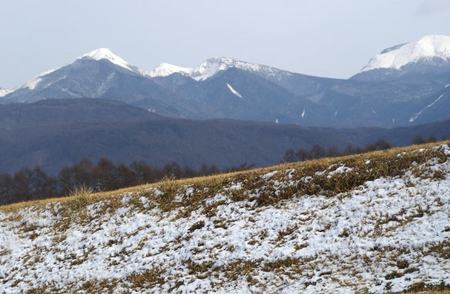 f:id:hashiba511:20080123053839j:image