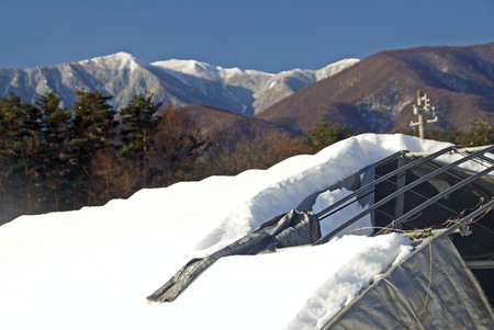 f:id:hashiba511:20080124115424j:image